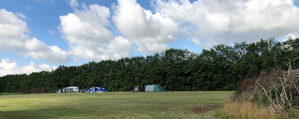 Zelten mit Kindern - Freie Wiese mit Zelten